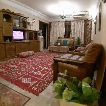 Panorama Apartment overlooking Cairo Airport - image 16