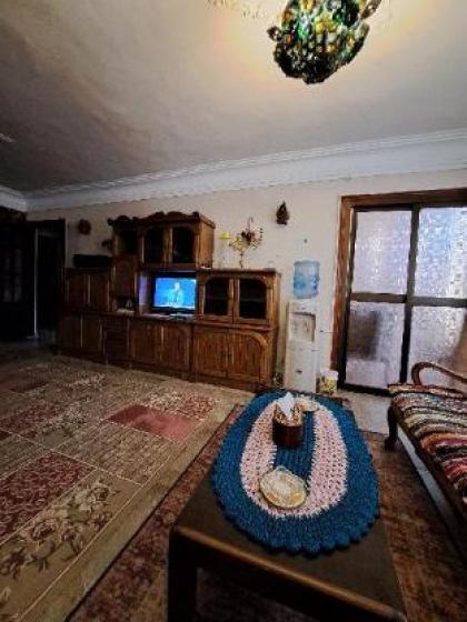 Panorama Apartment overlooking Cairo Airport - image 18