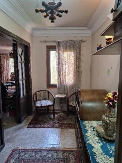 Panorama Apartment overlooking Cairo Airport - image 19