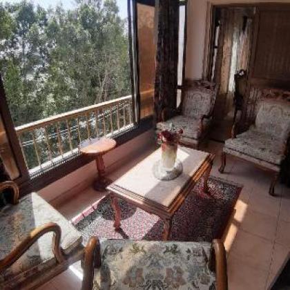 Panorama Apartment overlooking Cairo Airport - image 7