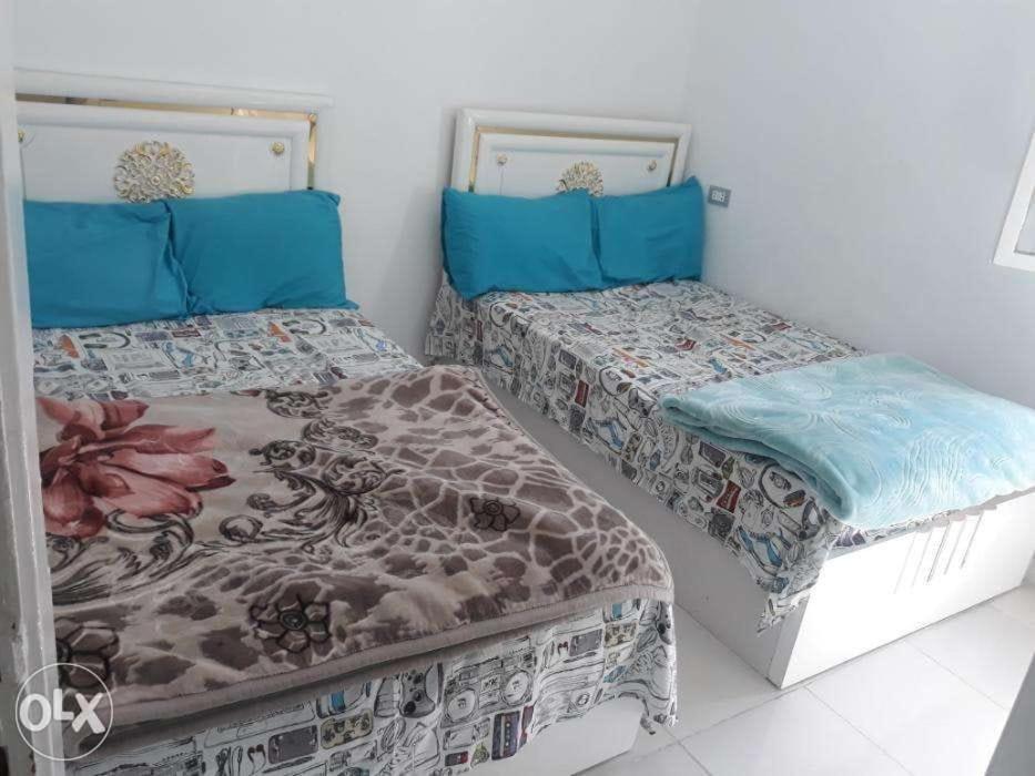 Down Town apartment Nasr city - image 3