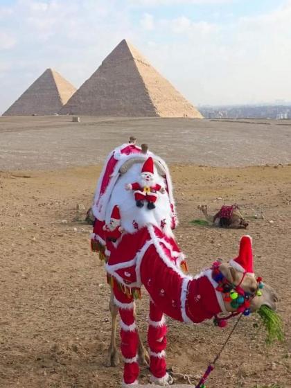 Tamara Pyramids View - image 21