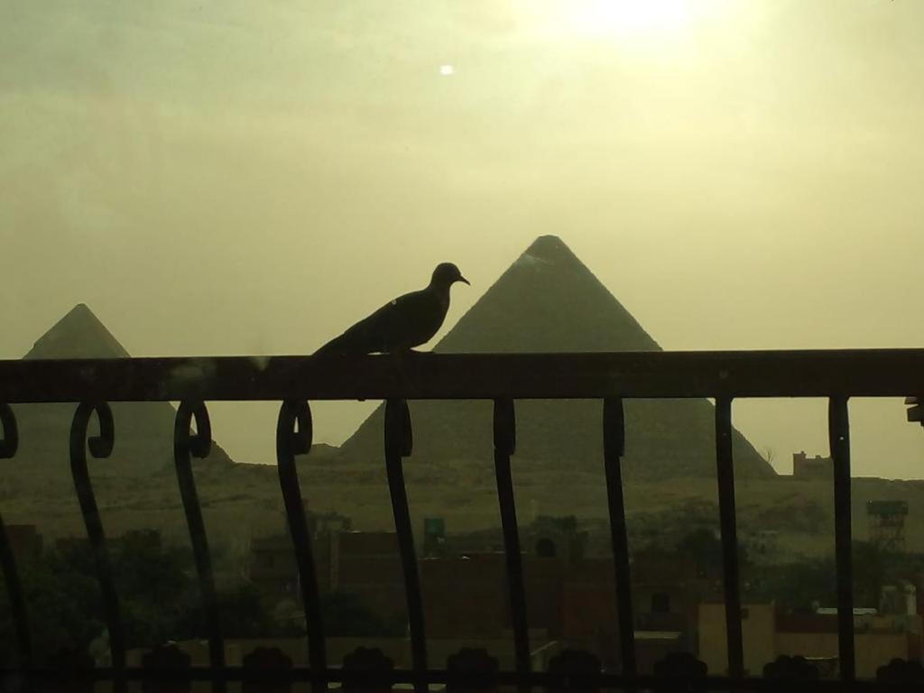 king ramses pyramids view apartment - main image