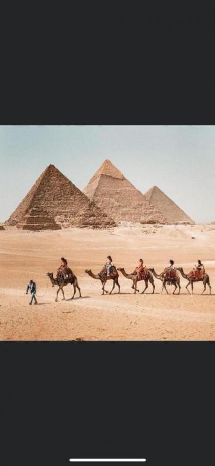 king ramses pyramids view apartment - image 19