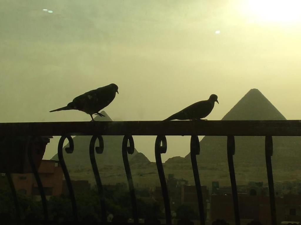 king ramses pyramids view apartment - image 3