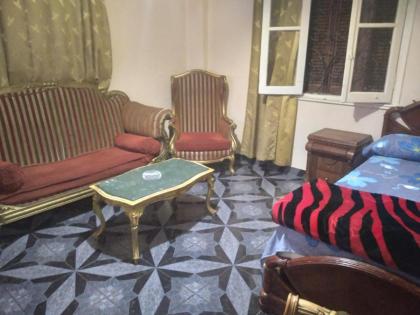 مدينه نصر شارع مخلص الالفي - image 10