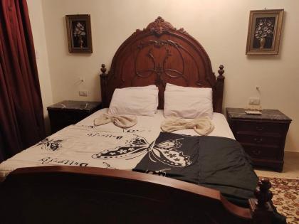 Zeina pyramids view - image 27