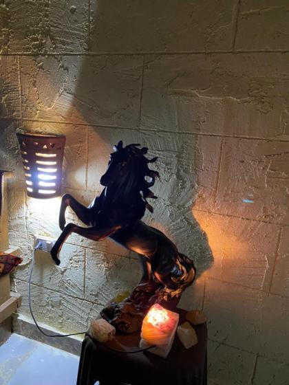 Pyramids Lounge Guest House - image 8