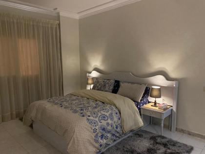 Nile View 2-Bed Apartment in Zamalek Cairo - image 30