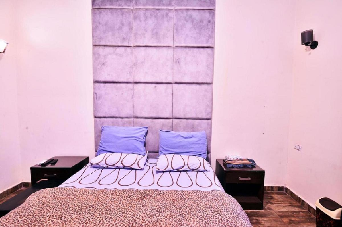 Appartment down town - image 4