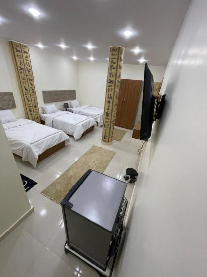 Pyramids Plateau View - image 23