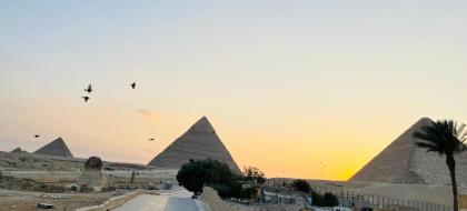 The Gate Hotel Pyramids - image 7