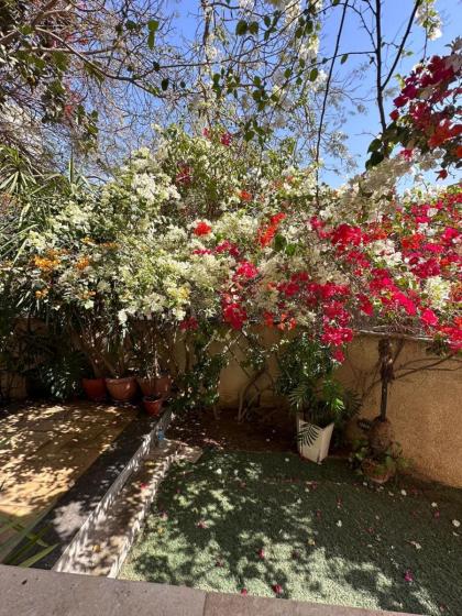 Heliopolis Gardens - image 2