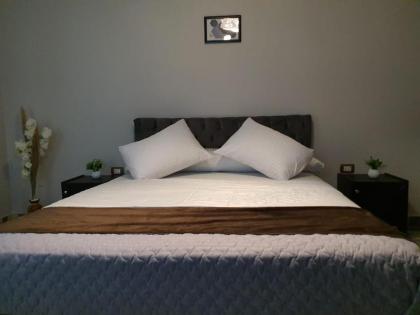 Youvala serviced apartment Giza - image 13