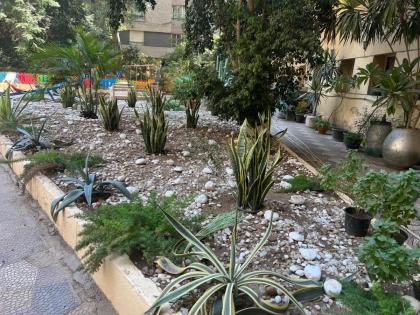 زافيرو الزمالك - image 3