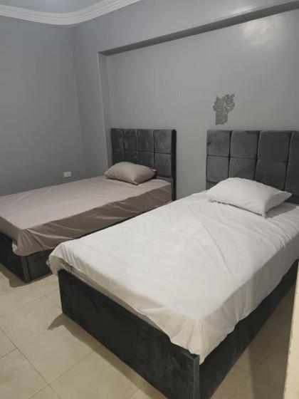 شقه مفروشه جنب اسماك دولفن جسر السويس - image 2