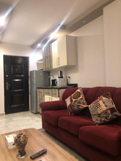 Unique studio in the heart of Heliopolis Cairo! - image 14