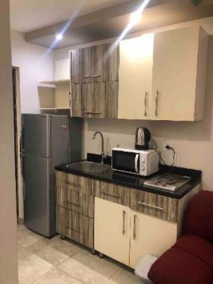 Unique studio in the heart of Heliopolis Cairo! - image 4