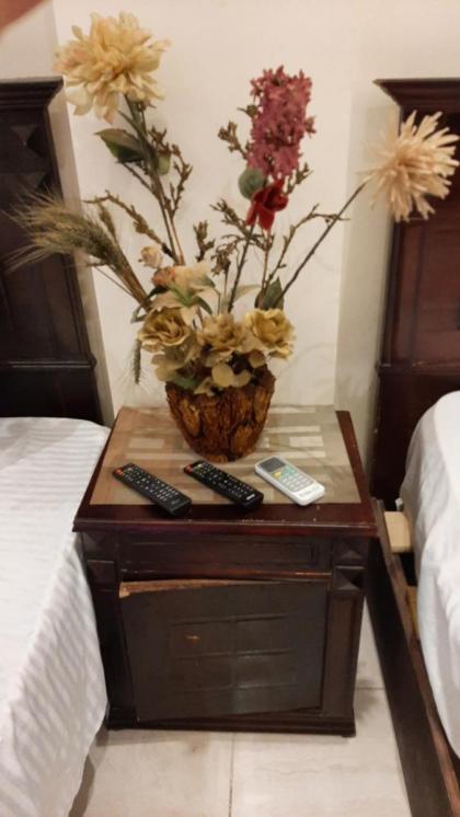 springo pyramids view - image 30