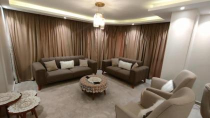 شقة مستوى فندقى المهندسين للعائلات فقط - image 21