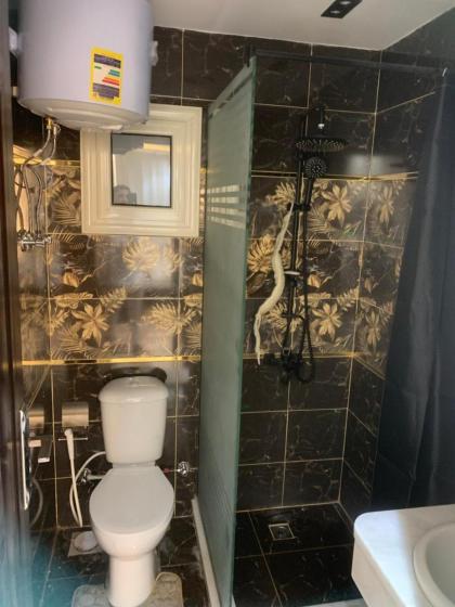 شقق فندقية فاخره بالمهندسين - image 8