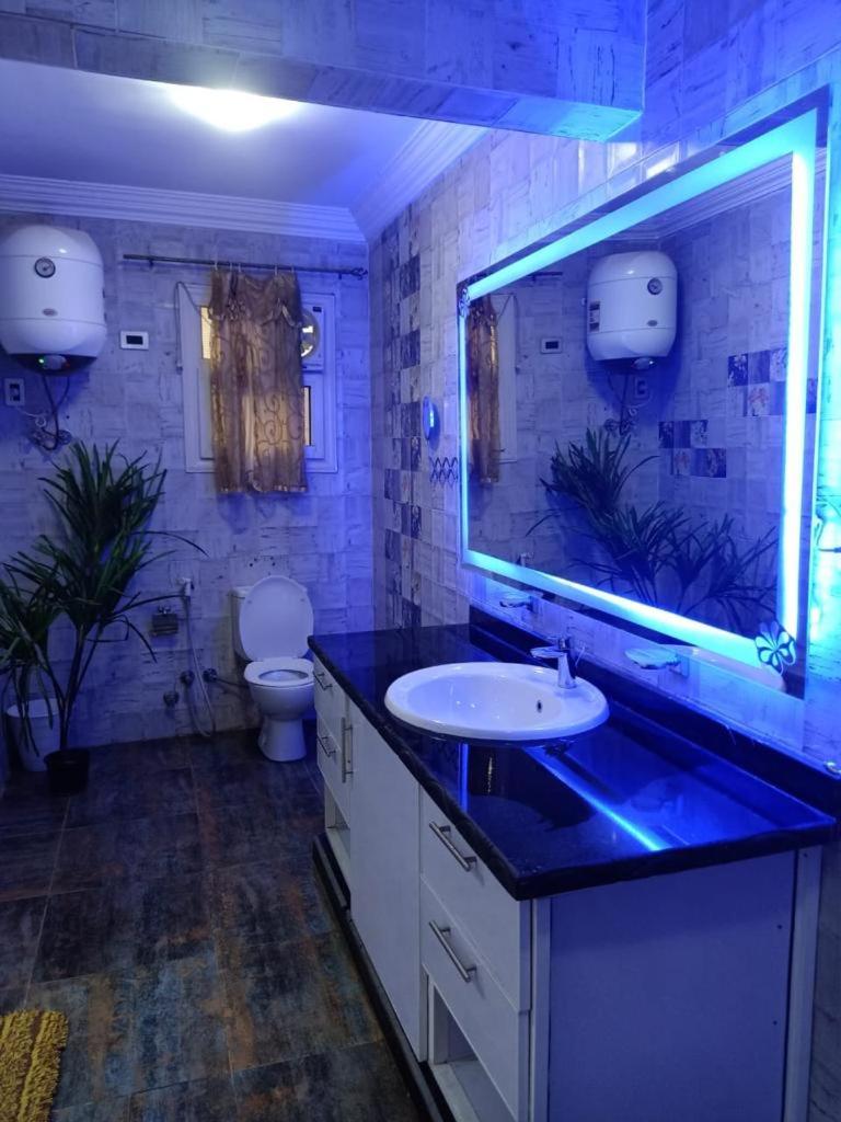 شقة ( وادى النيل المهندسين ) - image 6