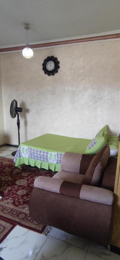 Khattab pyramids Guest house view - image 11