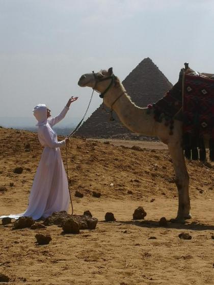 Pyramids Fair Deal - image 13