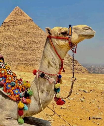 Star pyramids - image 16