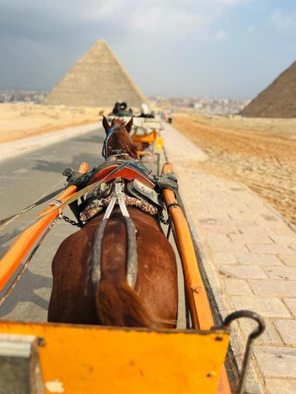 Star pyramids - image 22