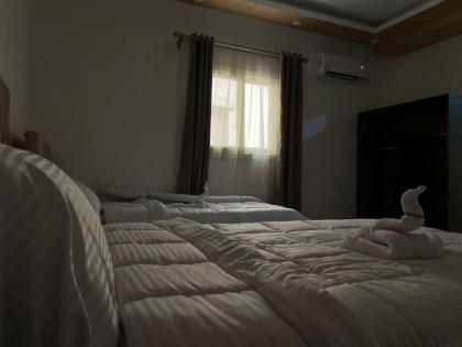 Stay of Giza Pyramids - image 26