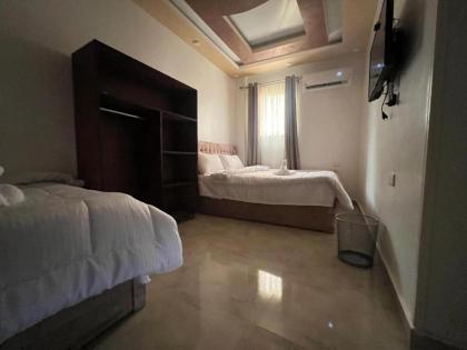 Stay of Giza Pyramids - image 27