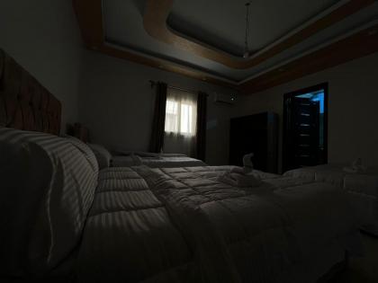 Stay of Giza Pyramids - image 29