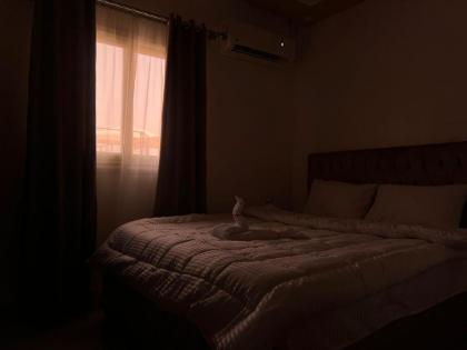 Stay of Giza Pyramids - image 30