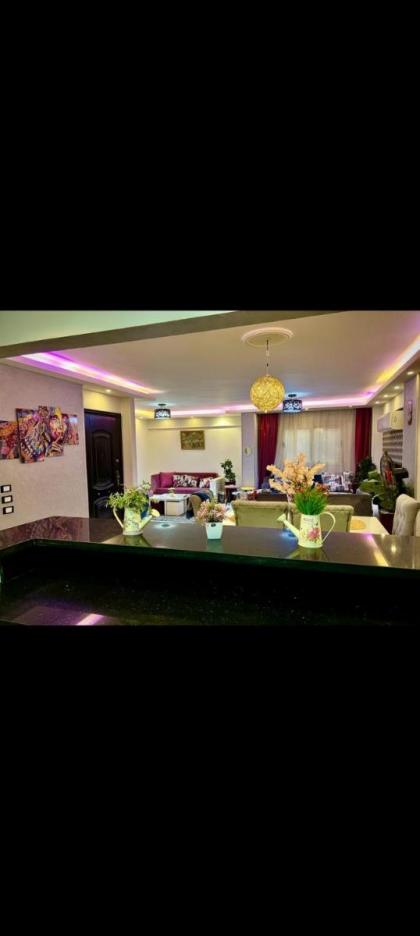 Apartment in Cairo 