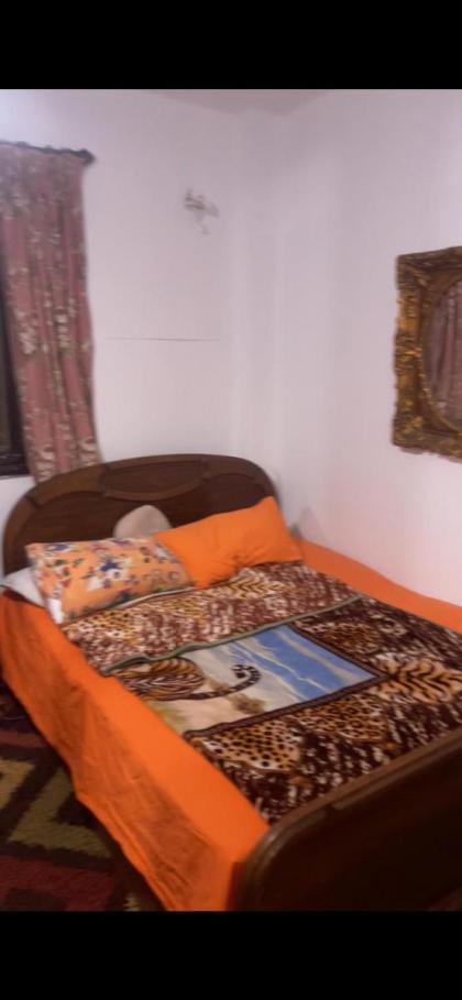 apartment el haram - image 4