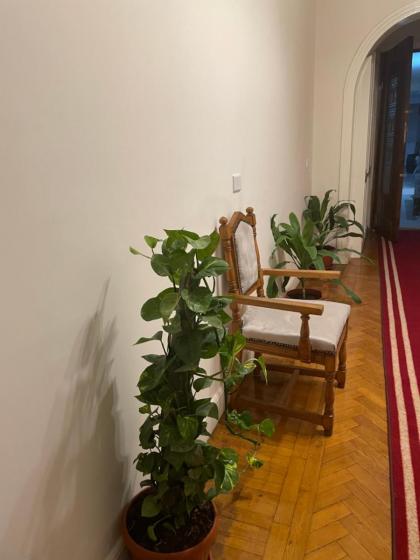 Central Cairo Hotel - image 8
