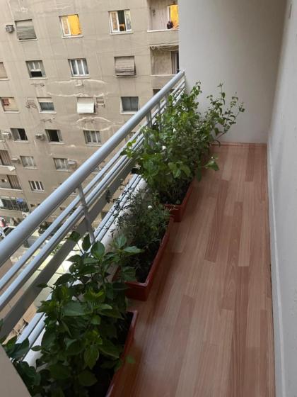 Central Cairo Hotel - image 9