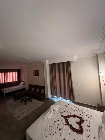 Pyramids moon view - image 22