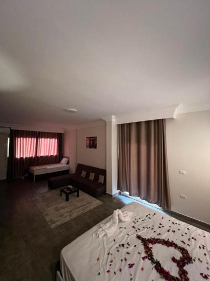 Pyramids moon view - image 26