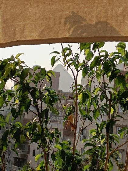 DISCOVER Pyramids inn - image 17