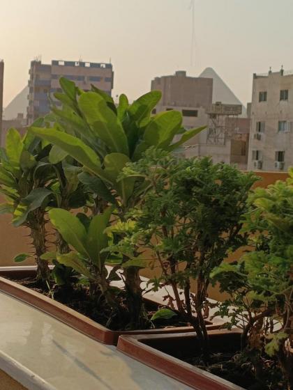 DISCOVER Pyramids inn - image 19