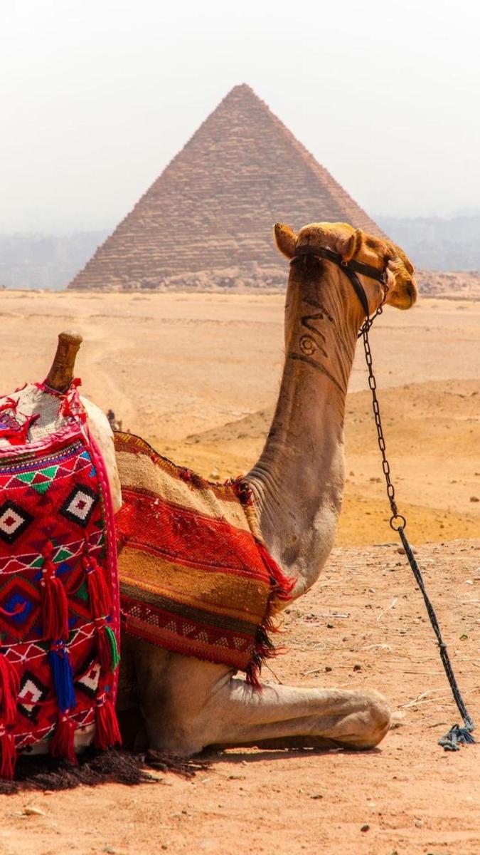 LOVELY PYRAMIDS motel - image 4