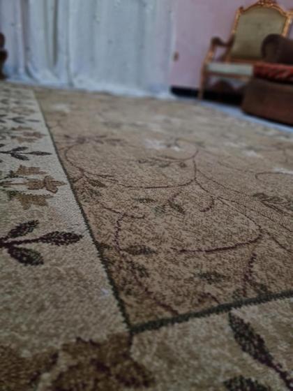 Hisham Pyramids inn hotel - image 2
