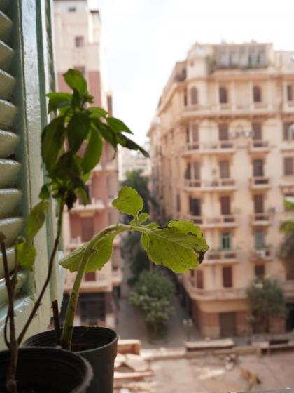Rhala Hostel Egypt - image 25