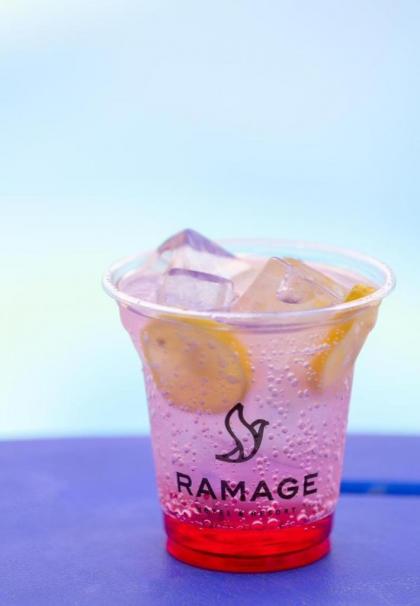 Ramage Hotel & Resort - image 17