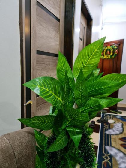 Rafat pyramids Inn hotel - image 19