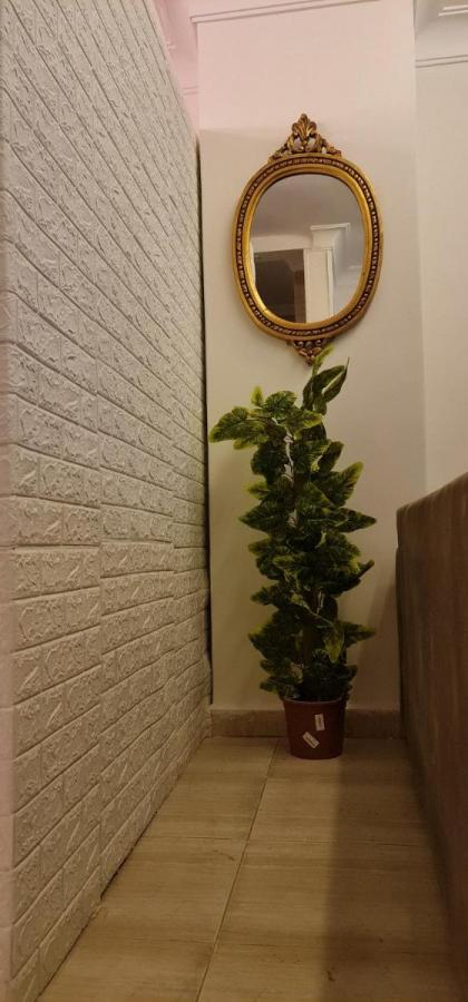 شقه فاخرة - image 15