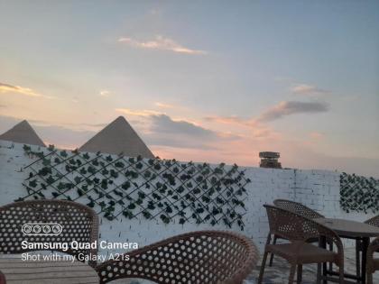 Chez l'ami hotel - image 17