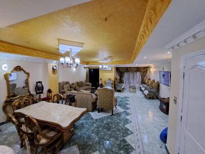 الجيزه محطه مشعل الهرم خلف كارفور - image 11